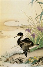 Choix de fables de La Fontaine illustrées par un groupe des meilleurs artistes de Tokio, tome 2