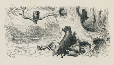 L'Aigle, la Laie et la Chatte