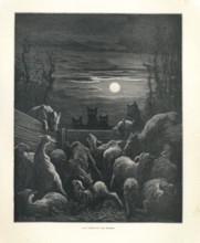 Fable "Les Loups et les brebis"