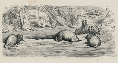 Fable "La Belette entrée dans un grenier"