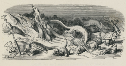 Fable "Le Combat des rats et des belettes"