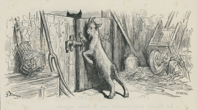 Fable "Le Loup la chèvre et le chevreau"