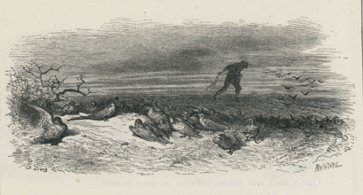 Fable "L'hirondelle et les petits oiseaux"