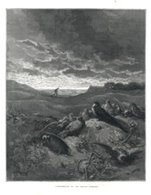 Fable "L'hirondelle et les petits oiseaux"