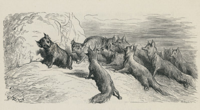 Fable "Le Renard ayant la queue coupée