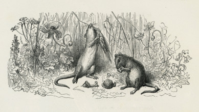 Fable "Le Rat de ville et le Rat des champs"