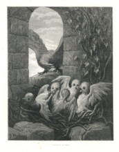 Fable of La Fontaine 'The Eagle and the Owl'