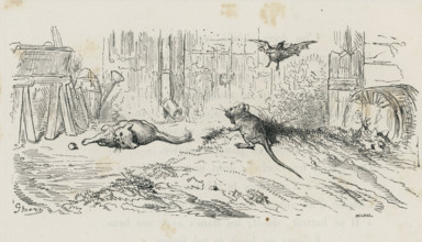 Fable of La Fontaine 'The Young Cock, the Cat, and the Mouse'