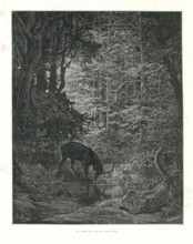 Fable of La Fontaine 'The Stag at the Pool'