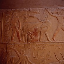 Mastaba of Kagemni, milking a cow held by a rope