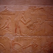Saqqarah, mastaba de Kagemni, personnages avec petit cochon