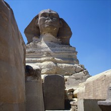 Gizeh, Sphinx et stèle de Thoutmosis IV