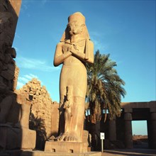 Karnak, Temple of Amon-Ra, colossus of Ramses usurped by Pinejem I