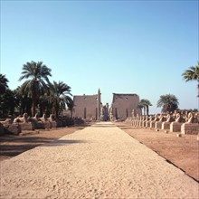 Louxor, Allée processionnelle de sphinx conduisant au pylône d’entrée du temple