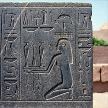 Karnak, Temple d’Amon-Rê , bloc de la chapelle d’Hatshepsout,  apport des nourritures liquides et solides par le nome de  Mendès
