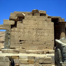 Ramesseum, Temple of Ramses II - south side of the wall of the entrance vestibule of the hypostyle hall -  Sed celebration scene - ascent to the king's temple and inscription on the staff of millions ...