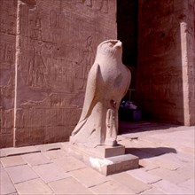 Temple d'Edfou. Statue du faucon Horus