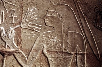 Merseankh Mastaba, Royal spouse with lotus bud