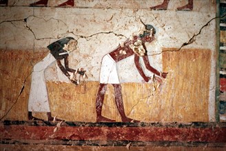 Valley of the nobles, Theban tomb no. 81 of Anena, Harvest scene