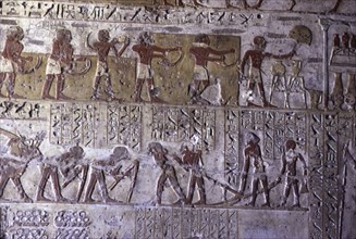 El Kab, Tombe de Pahéri, Scènes de travaux agricoles