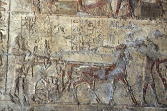 El Kab, Tombe de Pahéri, Conduite d'un char avec cheval
