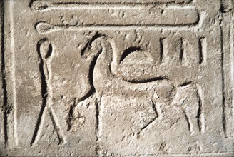 Ramesseum, Détail d'une inscription avec cheval