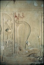 Abydos, Royal cobra