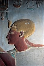 Abydos, Pharaoh's head
