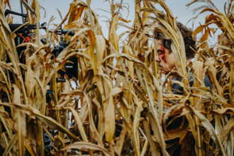 The Phoenician Scheme