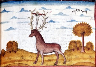 Manuscrit, scène de chasse, cerf
