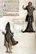 Conrad Gesner, Manuscrit "Historiae animalium", livre II : "Quadrupedipus oviparis"