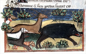Manuscript of the Hours of Rohan-Montauban: Cynegetic story - boar, doe and dogs