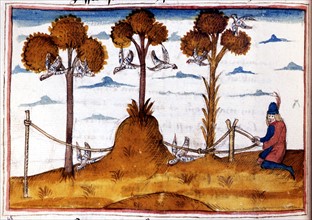 Manuscript. Henry de Ferrières, "Le livre du Roy Modus et de la Royne Ratio", falconry scene