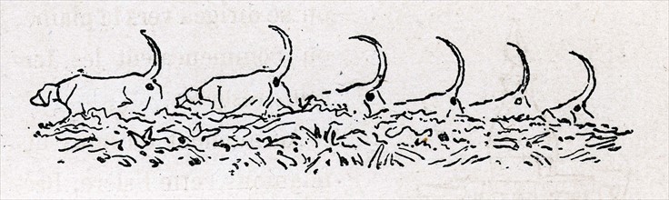 Jules Verne, illustration from 'Dix heures en chasse'