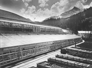 Eagle's Nest, Adolf Hitler's retreat at Berchtesgaden: greenhouses