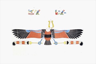 The vulture, living emblem of Neith