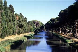 Sallèles d'Aude, junction canal, cypresses and umbrella pines
