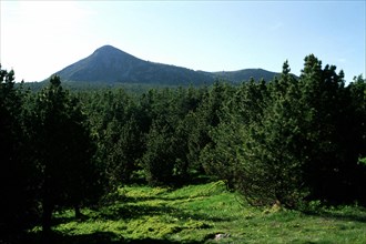 Vue de la croix de Peccata en direction du mont Mézenc