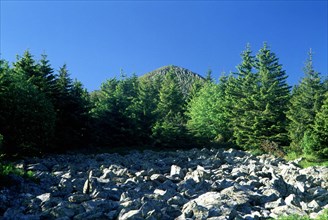 Vue de la D274 en direction du mont Mézenc