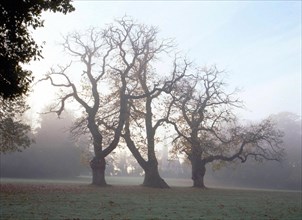 Parc du château de la Chanterie