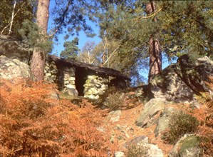Forêt d'Ermenonville, the Desert, Jean-Jacques Rousseau's cabin