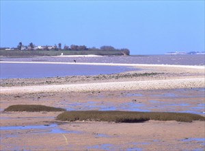 View of the shore of Port des Barques towards the island