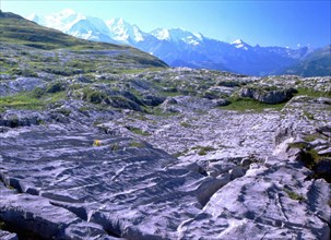 Vue des environs des chalets de Platé en direction de Massif du Mont-Blanc