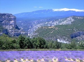 Vue du Rède (D5) en direction du rocher du Cire et du mont Ventoux