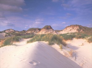 Dunes au nord de Fort-Mahon-Plage