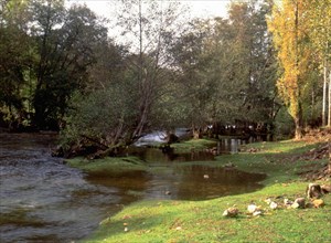 View downstream from the environs of Douce