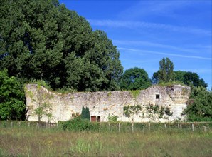 Ile-de-France : vallée de l'Orvanne
Ruines du château fort de Challeau