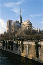 Notre-Dame cathedral, Paris