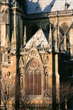 Notre-Dame cathedral, Paris