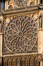 Notre-Dame cathedral, Paris